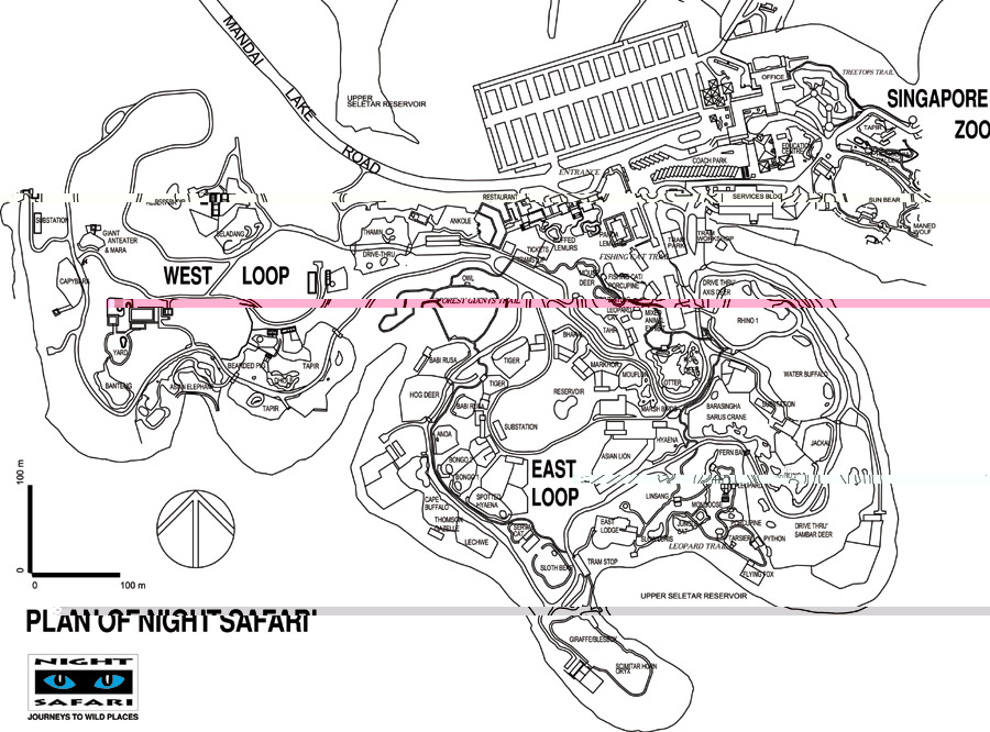Night Safari layout